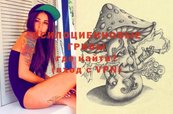 герыч Туринск