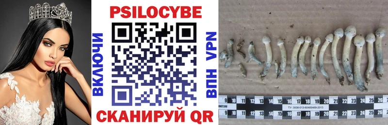 Купить закладки  Елизаветинская  Галлюциногенные грибы MAGIC MUSHROOMS 